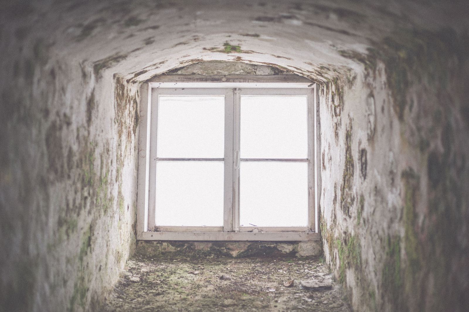 Mould and damp staining spreading across a plastered wall around a window reveal