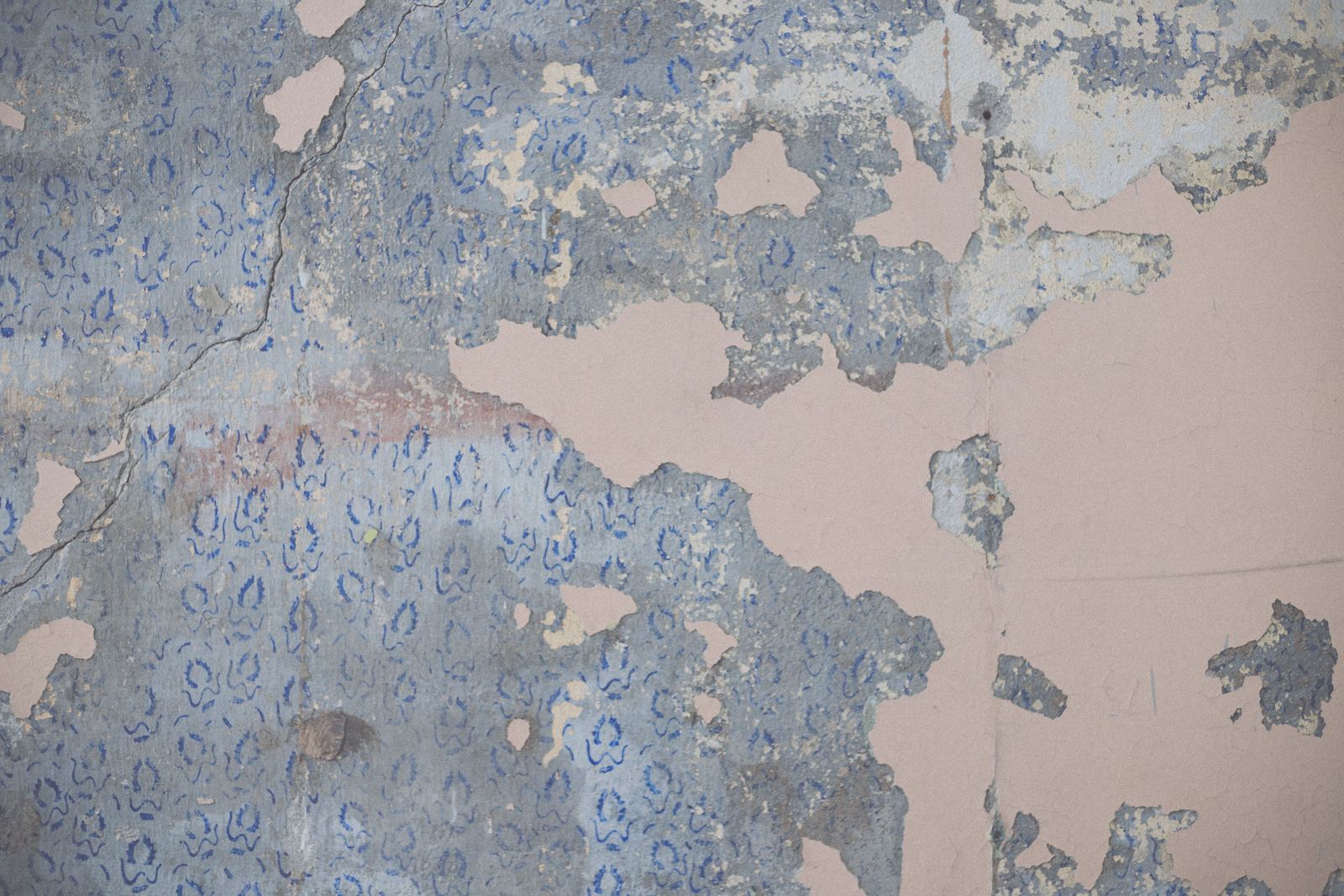 Damp staining showing along the bottom of an internal wall