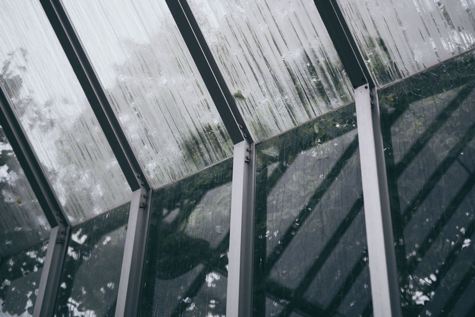 Rain running down the glass panels of a conservatory roof, seen from inside