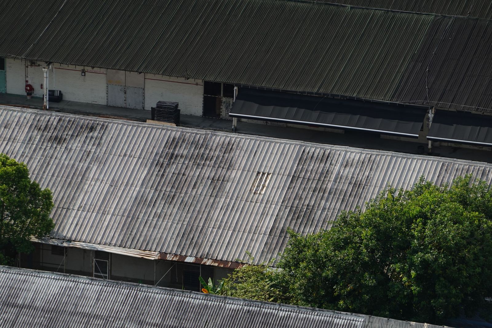 An old grey corrugated sheet roof on a low outbuilding, weathered and stained