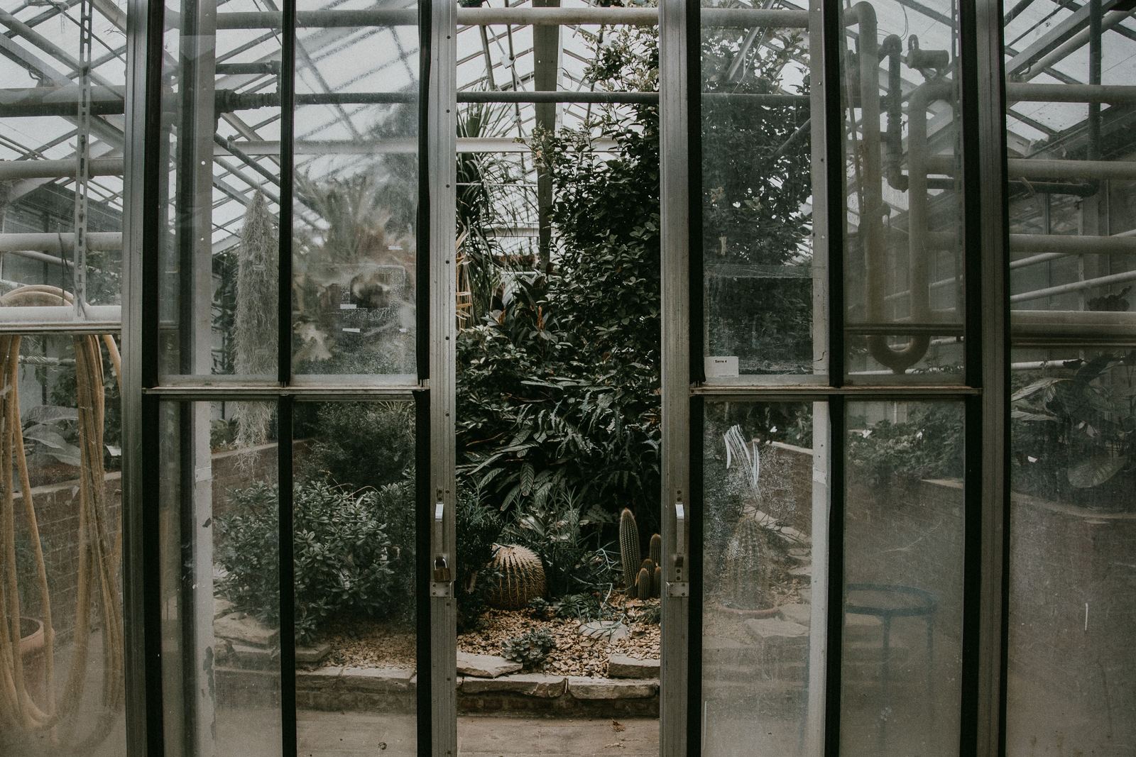 Open glass doors of a metal-framed glasshouse with cacti and tropical plants inside