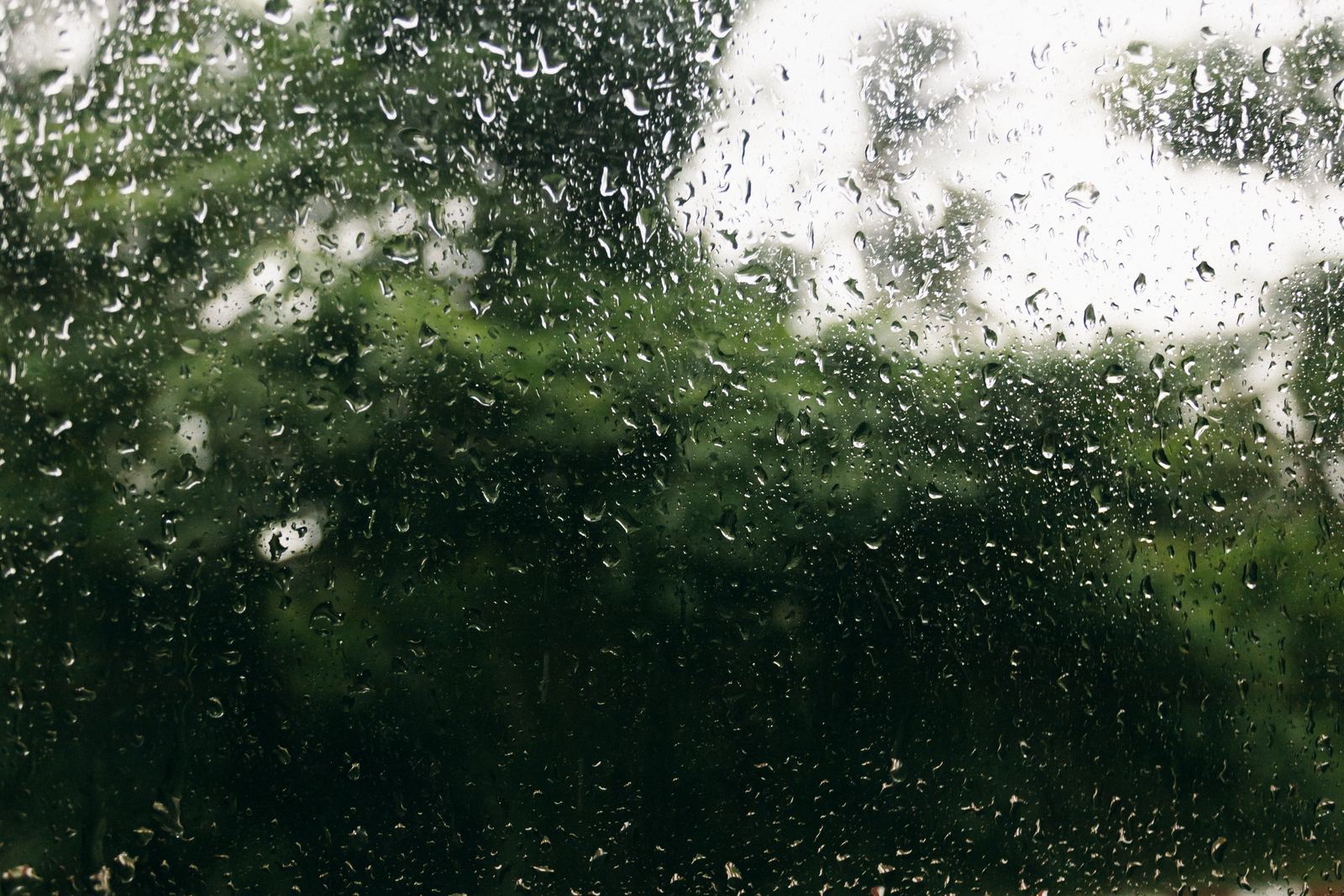 Raindrops covering a window pane with blurred green trees outside